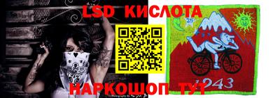 шишки Волжск