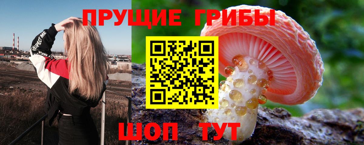 Галлюциногенные грибы мухоморы  Вход с VPN  Саки 