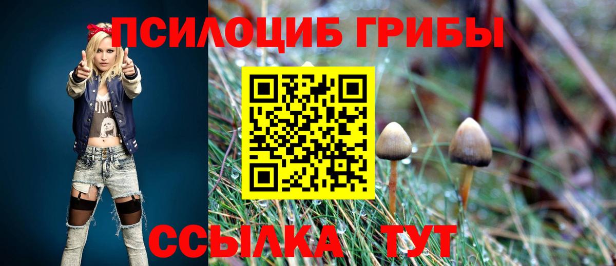 Псилоцибиновые грибы мухоморы Саки